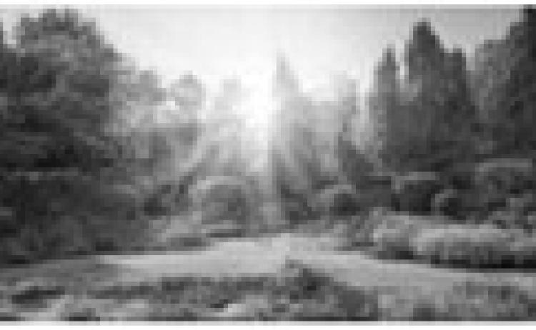 Alt Text for Image
