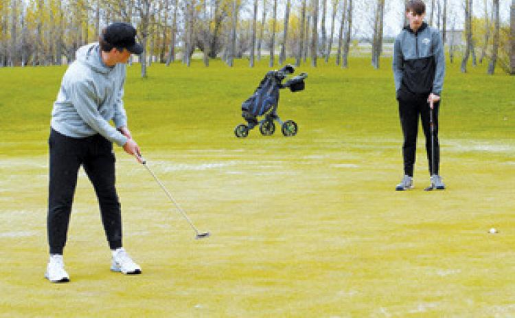 Cardinal Keaton Ullyott sinks a putt and finished the day with a score of 75, qualifying him for a trip to the State Golf Meet. Photo by Larry Stokke.