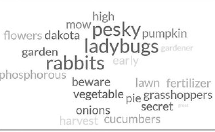 Over the past four years of publication, Dakota Gardener column topics have ranged from roots and earthworms to the best vegetable varieties, proper watering and why leaves change color. (NDSU graphic)