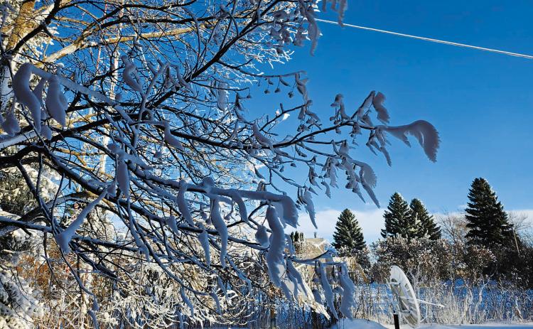 The latest December storm shuts down the region