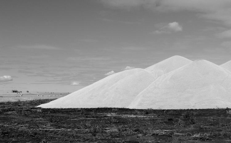 Grain placed in piles needs to stay dry and cool. (Flickr photo by Brad Smith)