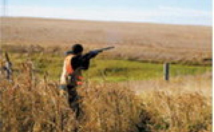 Upland game seasons summarized