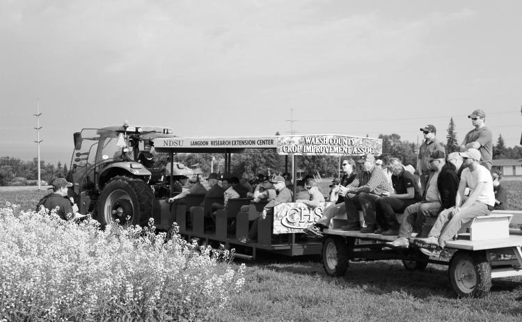 Pea and canola production, canola disease management and carbon credits for farmers are a few of the featured topics at the LREC annual field day on July 18. (NDSU photo)