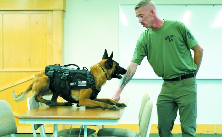 Reign and her handler, Josh Johansen, demonstrating her training capabilities at the recent K9 Meet and Greet. Photo by Larry Stokke.