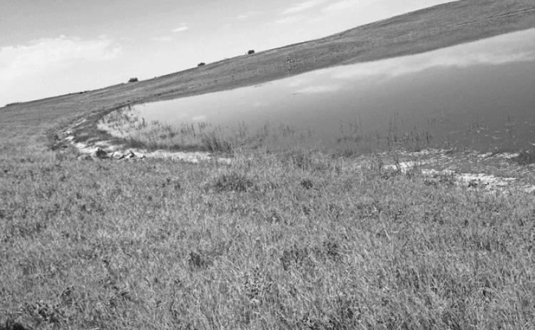 Be aware of toxic cyanobacteria
