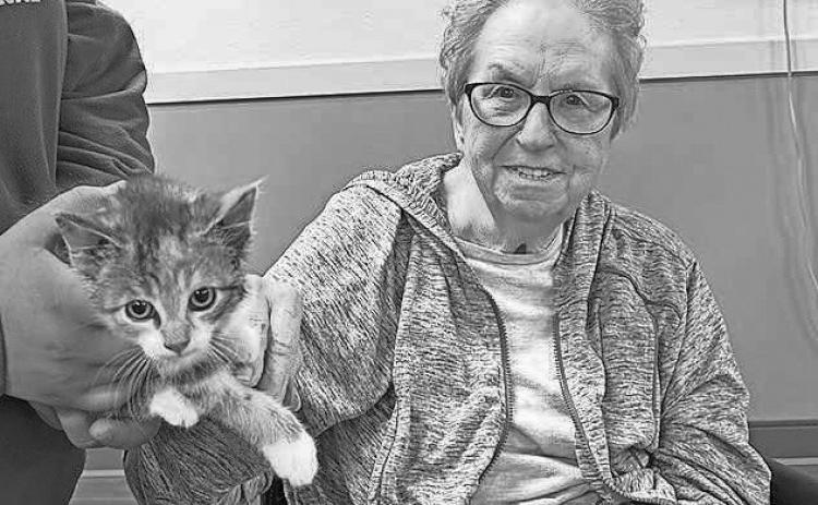 Pembilier Nursing Center: National Kitten Day