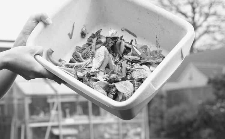 Dakota Valley Growers located in Bathgate was awarded a loan of $450,000 to go towards creating a compost facility.