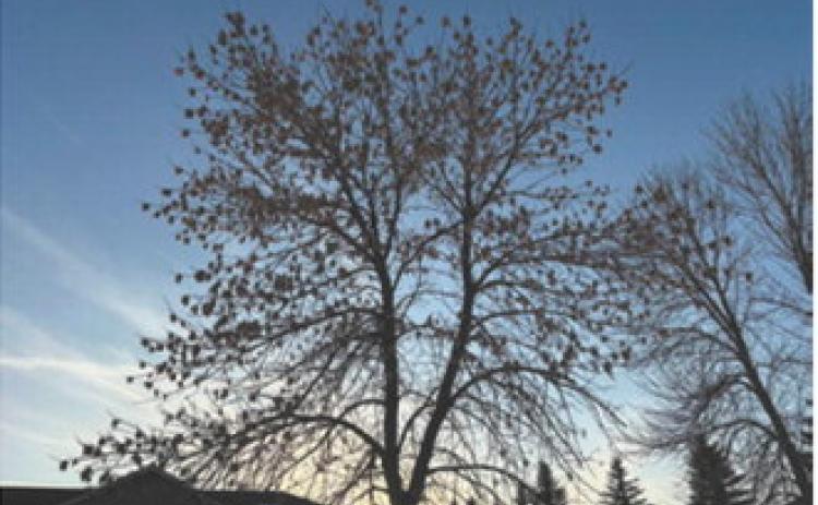 Four days, two seasons