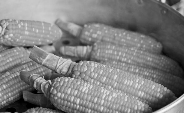 To blanch corn on the cob, bring water to a boil, add the cobs and then begin the timing process when the water begins boiling again. (Pixabay photo)