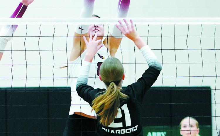 FM State Bank's Player of the Game Taya Feist had 12 kills, eight blocks, and eight digs against Nelson County. Photo by Larry Stokke.