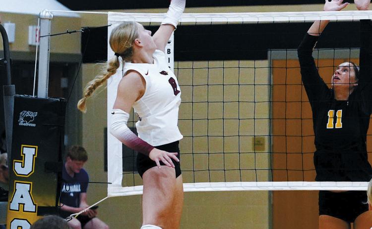 Hilary Haaven taps the ball over the Jaguar's player for a point. Photo by Larry Stokke.