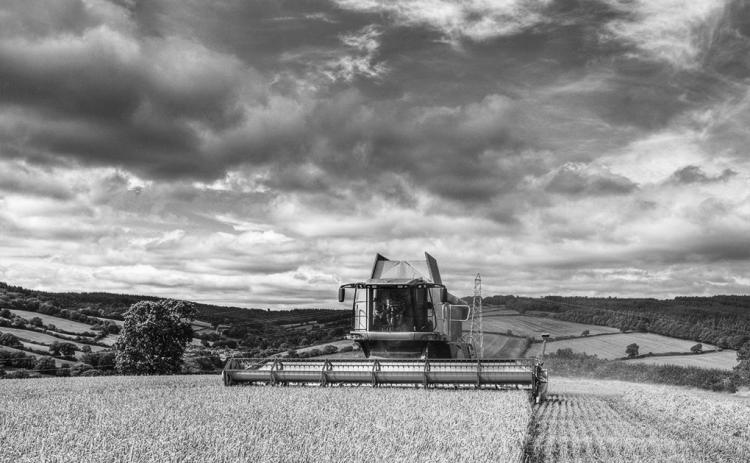 Corn and soybean associations study: Farmers would suffer from trade wars