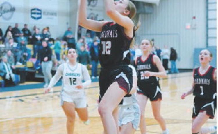 Kemi Morstad was Player of the Game in the win over Nelson County in Lakota Jan. 16. She finished the game with 11 points. Photo by Larry Stokke