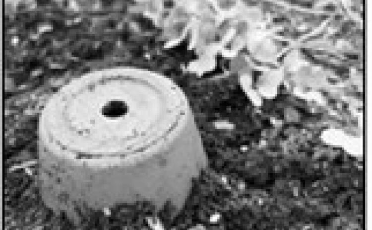 Ollas are a great way to keep elevated beds watered through the summer. (NDSU photo)