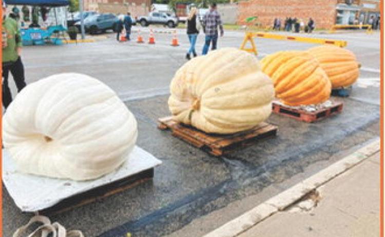Photo courtesy of Walhalla Chamber of Commerce