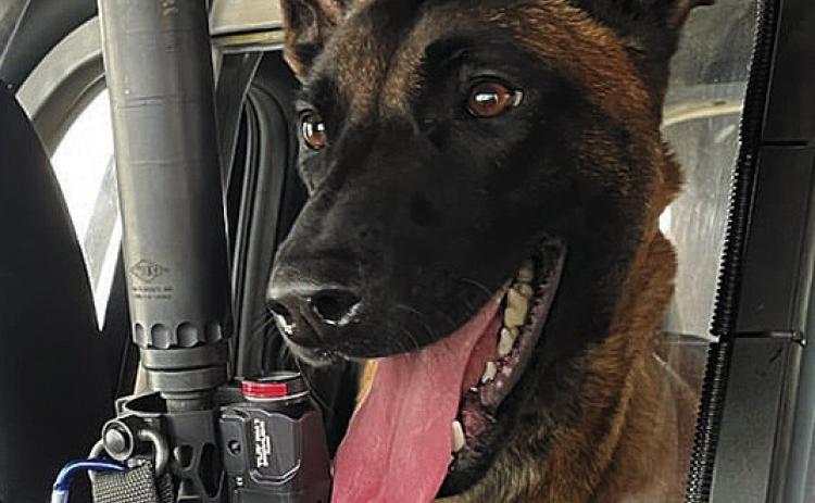 Cavalier County K9 gets ‘first sniff’ on the job