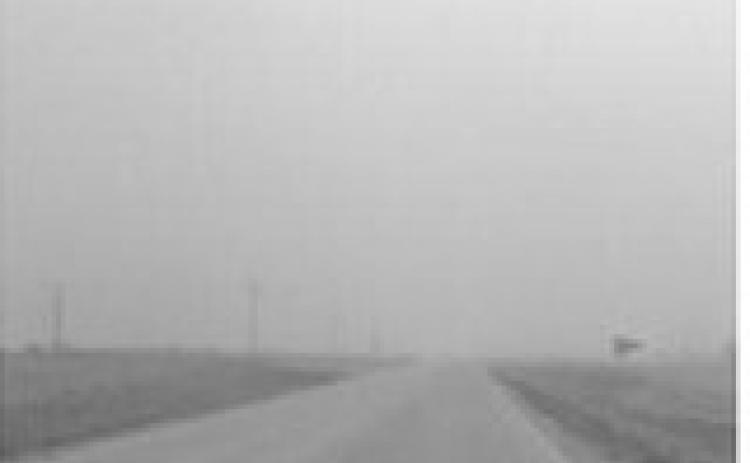 Dusty conditions can pose serious cattle health challenges if not identified early. (NDSU photo)