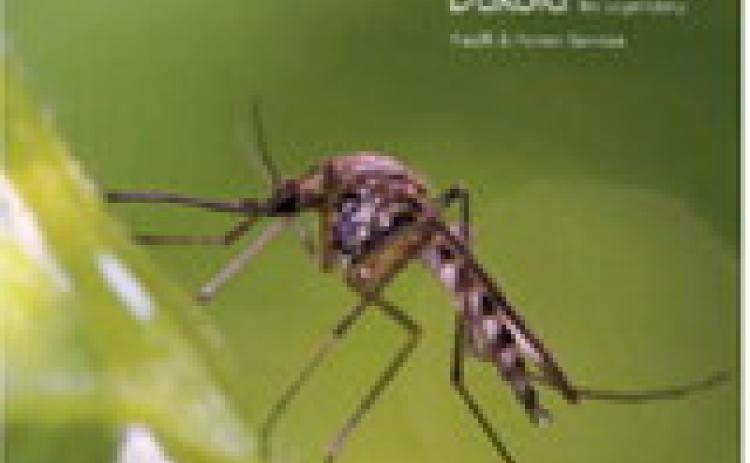 Mosquito bite prevention remains best defense against West Nile virus