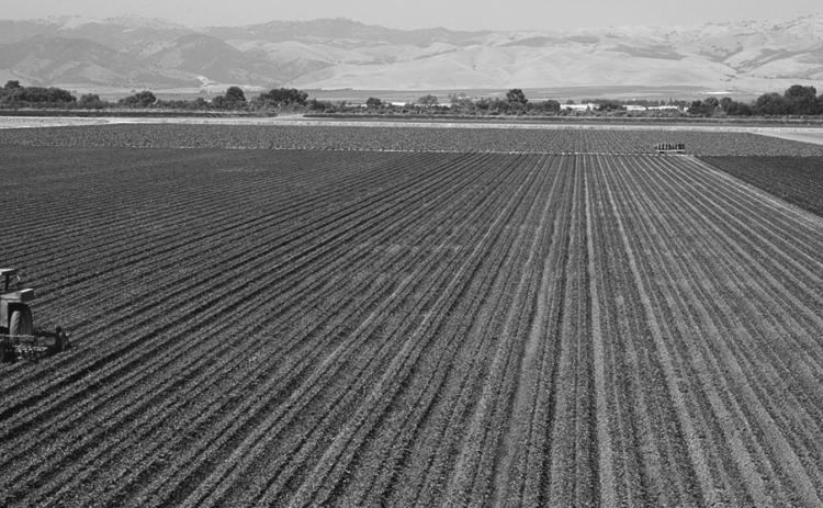 NDSU crop budget projections show minimal returns for 2025