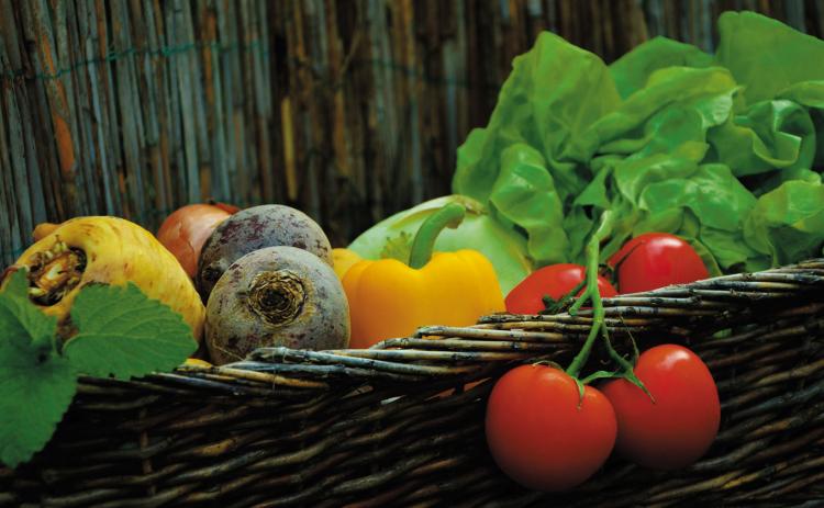 on Master Gardener Program accepting applicants through Nov. 1 - article + photo <NDSU Extension Master Gardener course topics include vegetable and fruit production, soil health, composting, plant diseases and insects, annual and perennial flowers, tree selection and maintenance, landscape design and more. (Photo by PX Here)