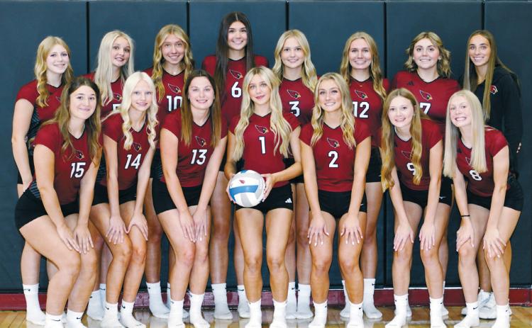 2026 Langdon Area-Munich Cardinal Volleyball Schedule