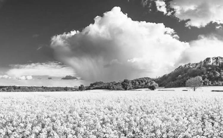 Photo courtesy of the U.S. Department of Agriculture Natural Resources Conservation Service (NRCS)