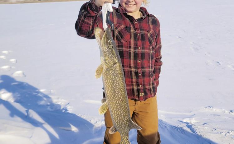 Adam Krapp won three species divisions. (NDSU photo)