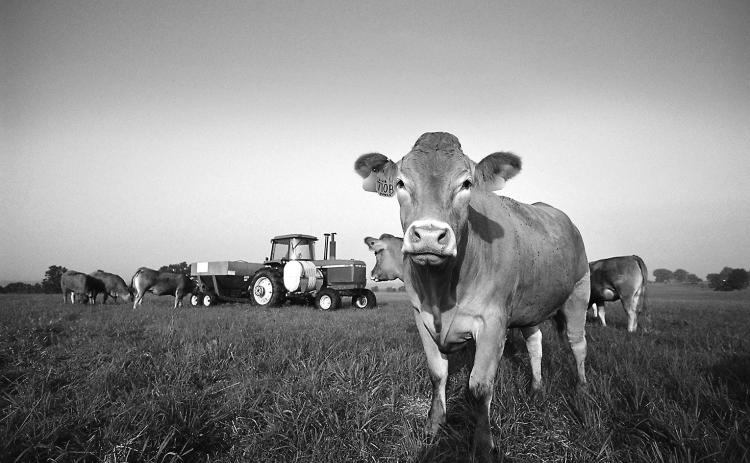 May has been deemed National Beef Month.
