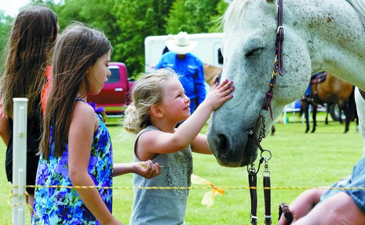 On Sunday, May 18, the SAPA Arena will host its first show of the 2025 season as a tribute to a beloved community member, Guff Cook. Photo by Larry Stokke.