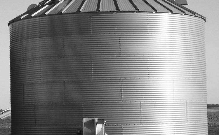 Stored grain should be monitored closely to detect any storage problems early. (NDSU photo)