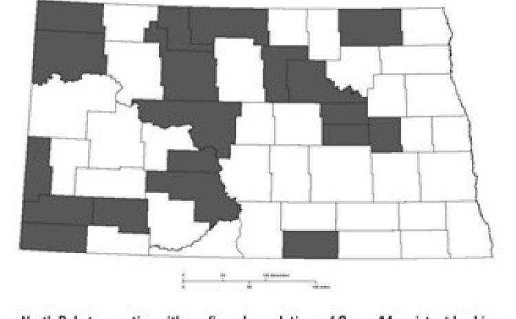 NDSU weed scientists first confirmed resistance to PPO-inhibiting (Group 14) herbicides in kochia in 2022. (NDSU photo)