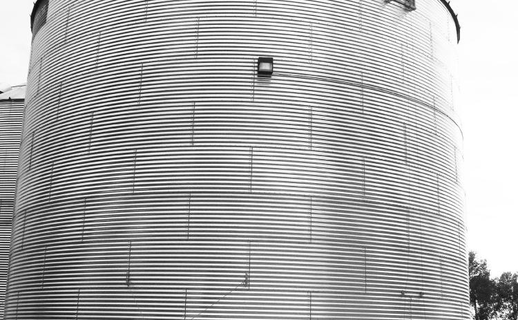Monitor stored grain closely to detect any storage problems early. NDSU photo.
