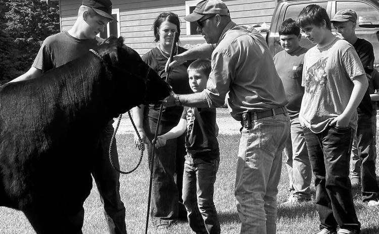 Youth will rotate through species-specific workshops led by NDSU Extension agents and local agricultural experts at the From Barn to Ring: Developing Skills for Every Species camp. (NDSU photo)