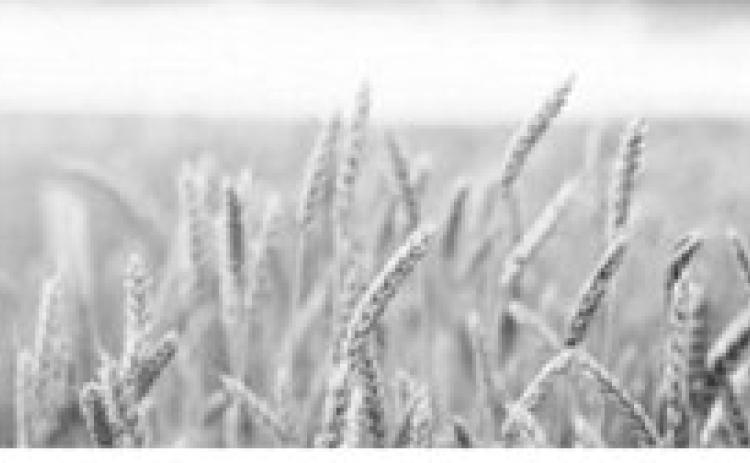 USDA announces conservation funding opportunity for North Dakota producers