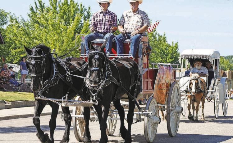 Two percheron horses pull a cart in Walhalla’s Fourth of July parade. PHOTO BY LARRY STOKKE