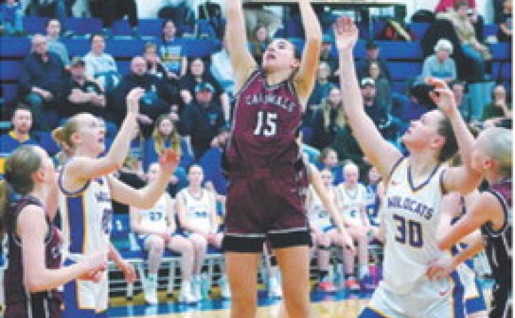 Taya Feist was FM Bank Player of the Game in the championship game against Benson County. Taya finished the game with 15 points. Photo by Larry Stokke