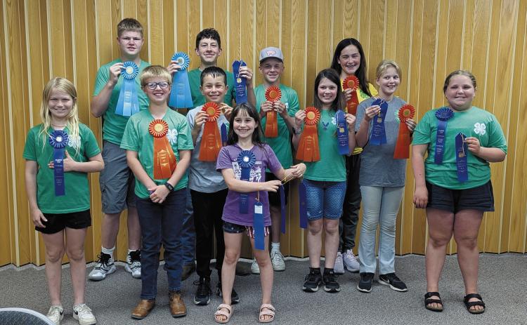 Front row (L-R): Sadie Halverson, Levi Norrell, Nathan Stegman, Olive Truver, Chloe Hunter, Stella Norrell, Lainy Shane; back row: Chaz Halverson, Chris Longtin, Spencer Berg, and Naomi Stegman.
