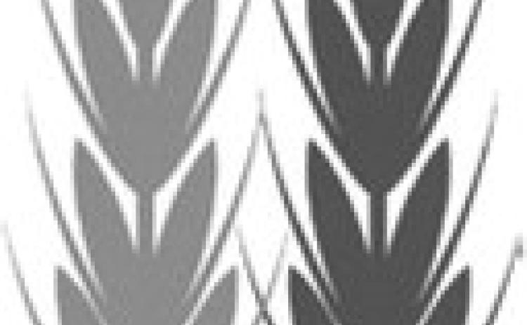 Alt Text for Image