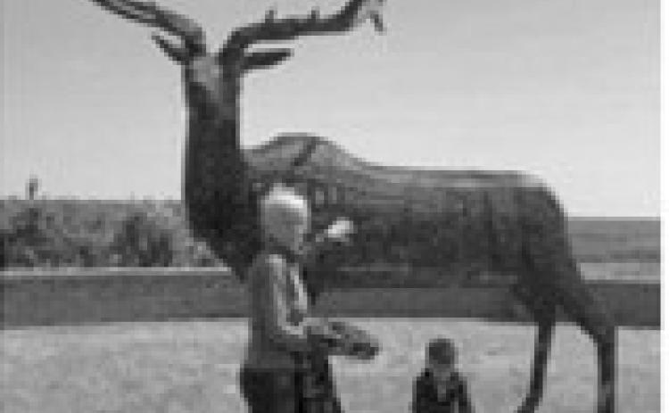 Melanie Thornberg and her grandson, Parker, visit the elk sculpture created by Walhalla artist Kenny Tetrault at the Masonic Scenic Overlook in Walhalla. Tetrault also created the moose in Walhalla and the Blue Moose in East Grand Forks. Photo courtesy of Melanie Thornberg