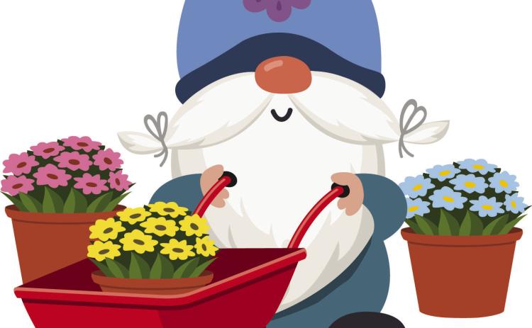 Gardening in the Dakotas