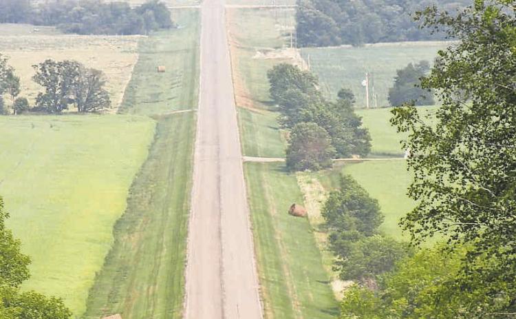 Lace up for the Life in The Vast Lane 5K!
