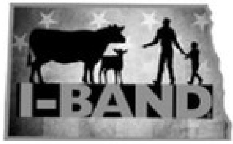 I-BAND opposes reopening southern border to live cattle imports