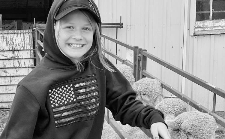 Sheep production offers youth an opportunity to grow a business, learn record keeping and manage finances. (NDSU photo)