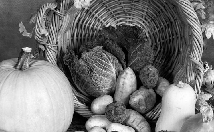 It can take 12 to 15 exposures to accept a food new to you. (Pixabay photo)