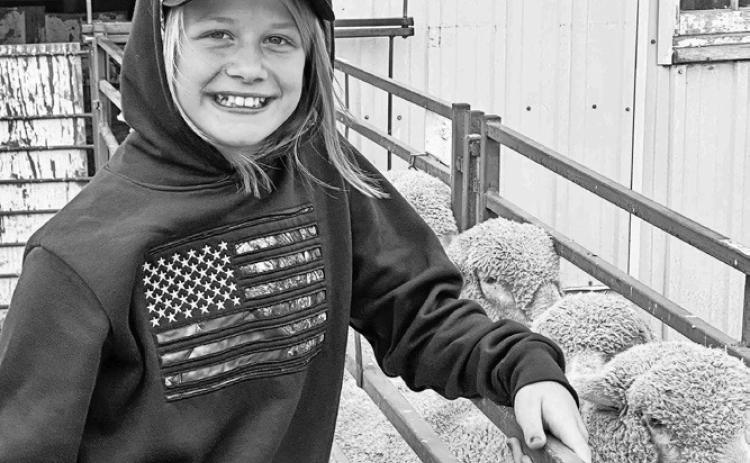 Sheep starter flocks available for North Dakota youth
