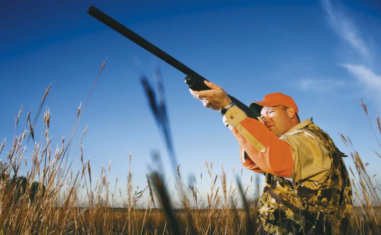 Game and Fish announces fall meetings