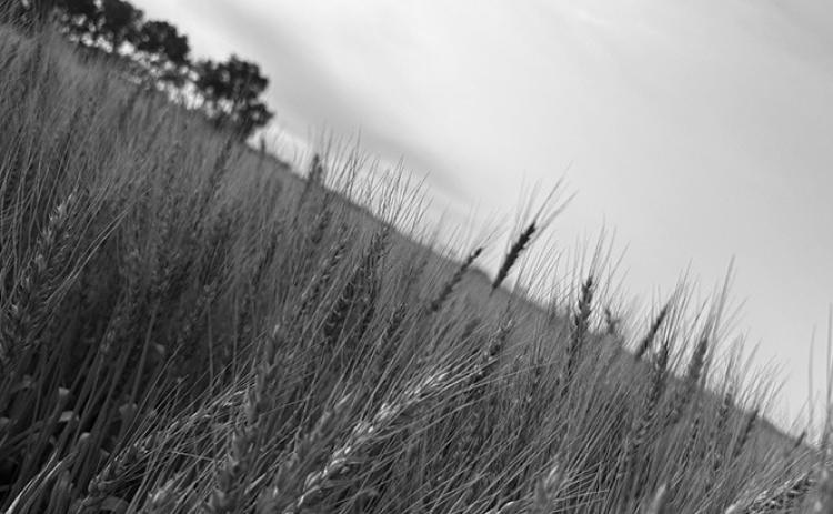 Photo by Sarah Overby