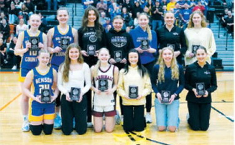 Back Row L-R: Aubrey Kenner Benson County, Lacie Fautsch Benson County, Elizabeth Fedje DVE, Kelsey Johnson Griggs/Midkota, Izzy Padilla Hatton/Northwood, Elizabeth Pinke Hatton/ Northwood, Lauren Bell Park River/Fordville-Lankin. Front Row L-R: Kaitlyn Maddock Benson County, Ava Peterson New Rockford-Sheyenne, Hilary Haaven Langdon-Area-Munich, Lily Skibicki Park River-Fordville-Lankin, Ella Pederson North Prairie, Anika Pinke Hatton/Northwood. Photo by Larry Stokke