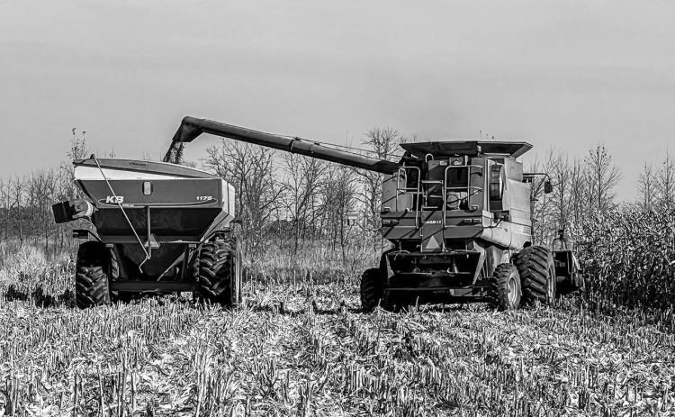 Corn harvest at a farm near Mapleton, N.D. during the autumn of 2024. Farmers await further news of how the trade war will impact them if tariffs against Canada and Mexico go into effect. Photo By Sabrina Halvorson, NDNC CEO.