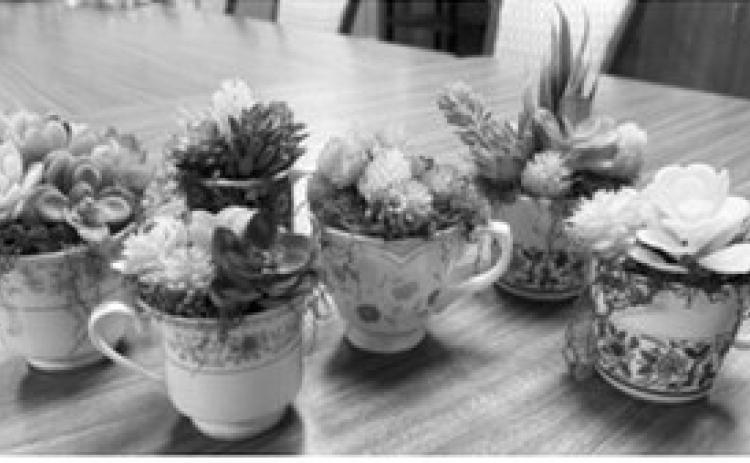 Succulent gardens. Submitted photo